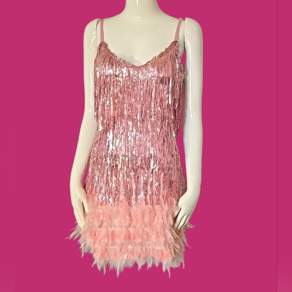 Dresses & Skirts - Pink Sequin Fringe Dress